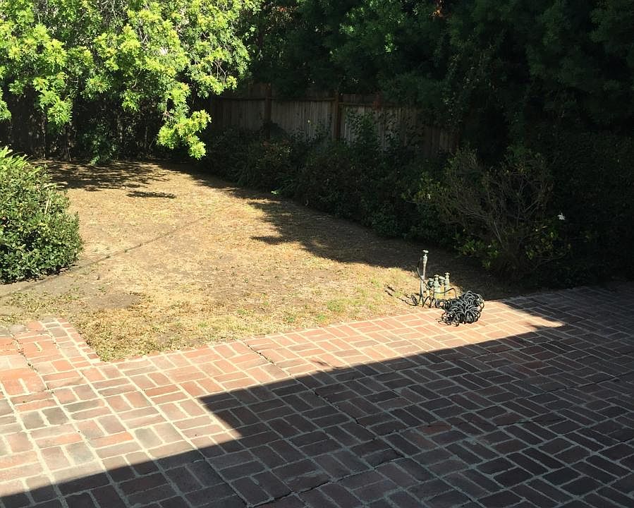 spacious backyard