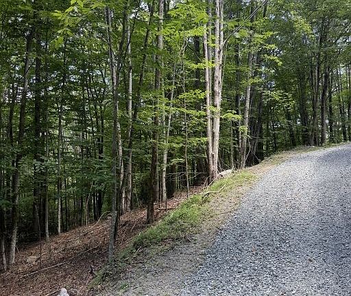 2nd image of 141 Sassafrass Road