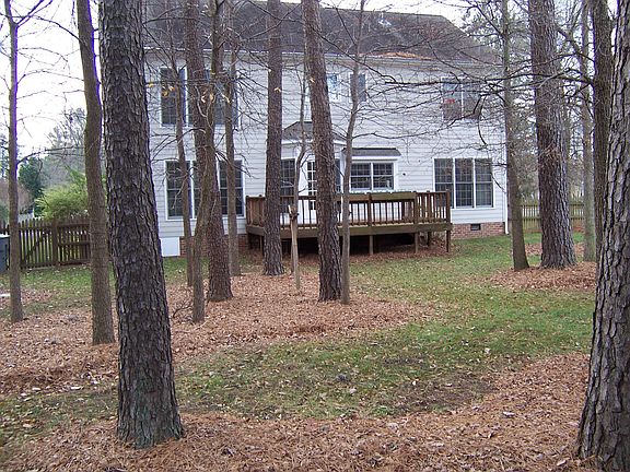 Rear of home-fenced yard