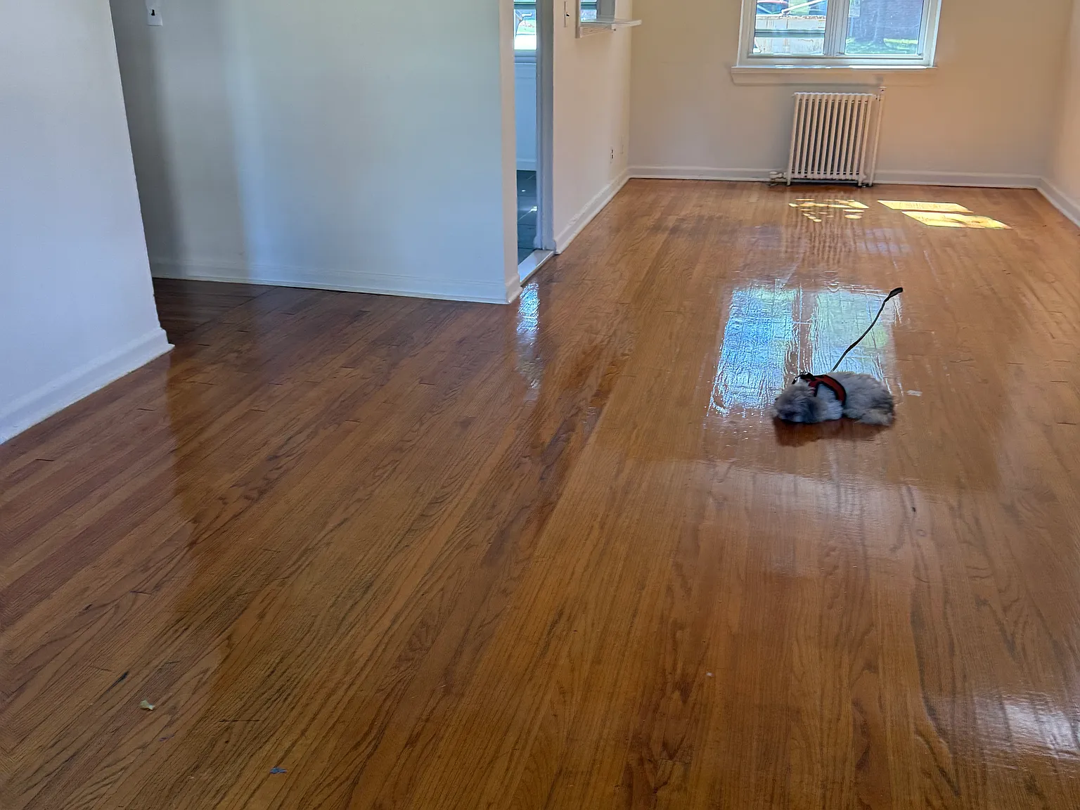 2 bed, 925 sqft, $2,300 — Photo 4