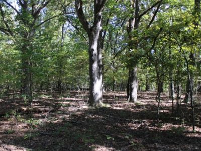 018-00390-000 Abby Mine Pl, Harrison, AR, 72601