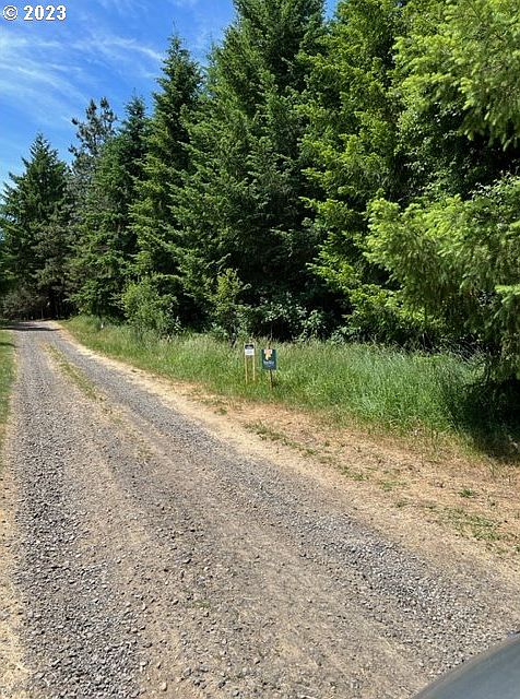 2nd image of SW Patton Ave