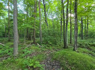 Off Cth Cc 20 Acres, Gleason, WI 54435