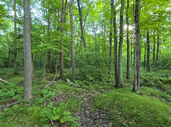 Off Cth Cc 20 Acres, Gleason, WI 54435