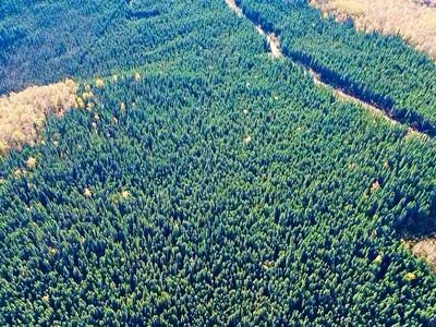 2170 Hopper Creek Dr, Fairbanks, AK, 99712