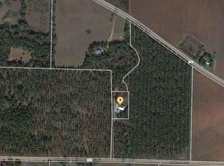 550 Flea Hop Rd, Blakely, GA 39823