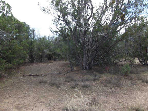 4th image of 8307 Pinon Dr