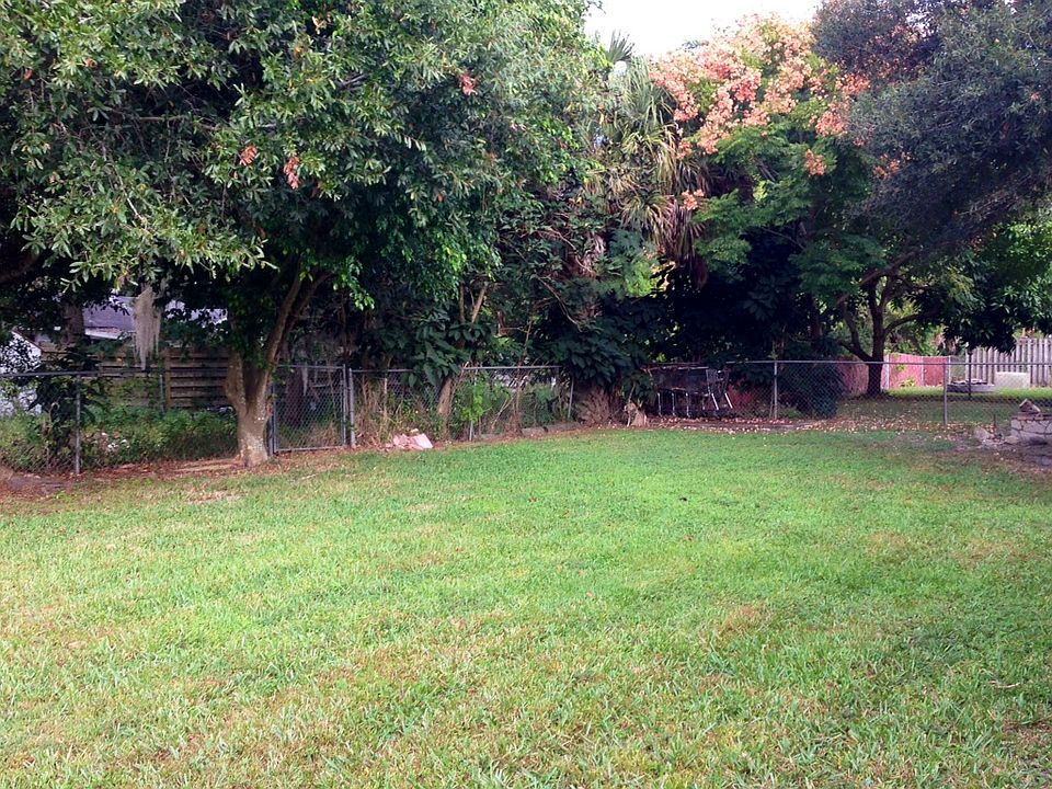Back yard