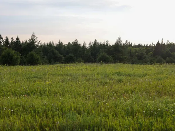 0 W M 123, Moran, MI 49760