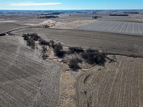 Dji 20260226093715 0006 D Talltines