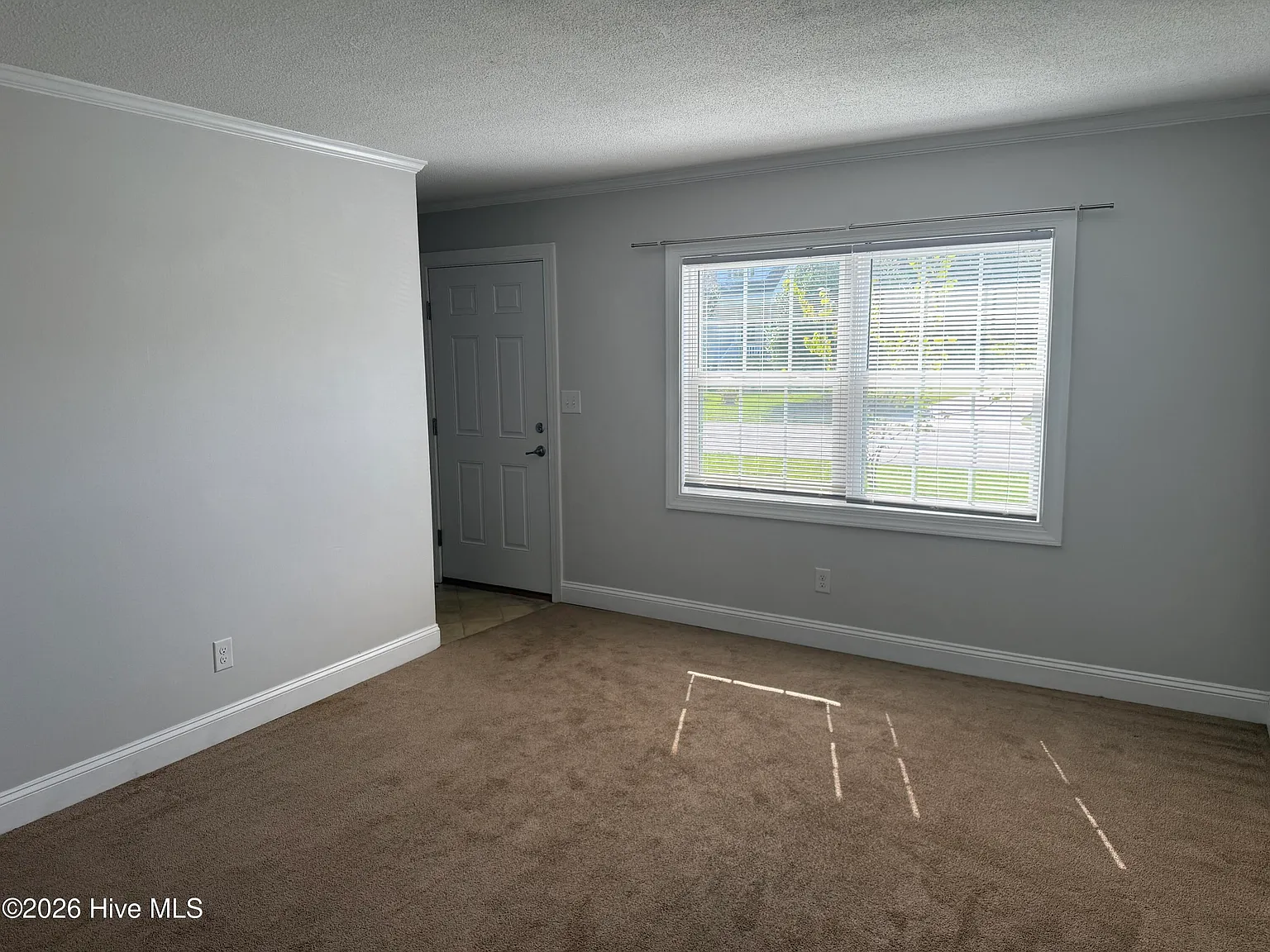 2 bed, 1.0 bath, 800 sqft, $1,100 — Photo 3