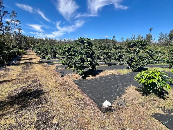 Road 4 Kea #Io, Kurtistown, HI 96760