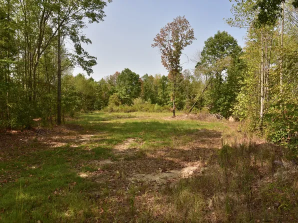 0 Fire Tower Rd Tract 3, Erin, TN 37061