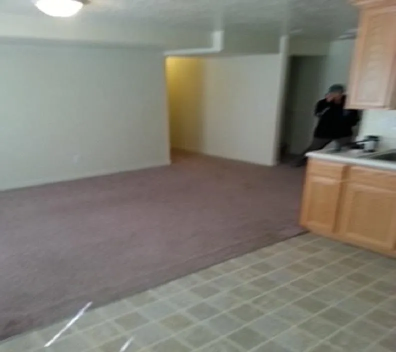 1 bed, 550 sqft, $1,150 — Photo 2