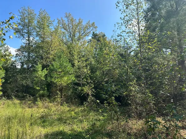 23884 Highway 49, Chase City, VA 23924