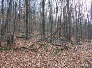 0 Three Lakes Rd, New Milford, PA 18834