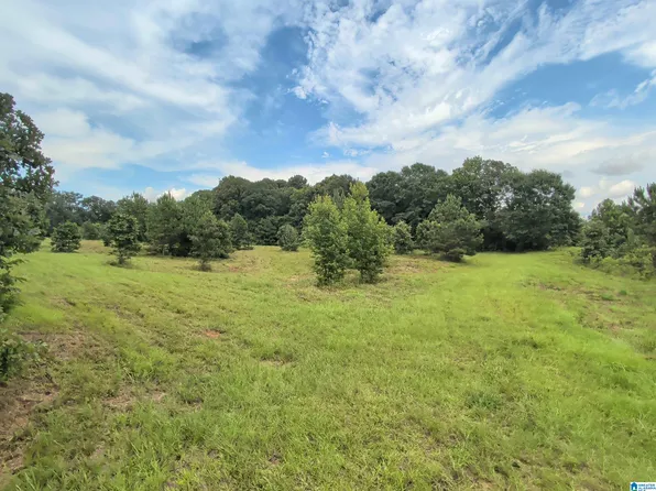 0 Barclay Rd #0, Alpine, AL 35014
