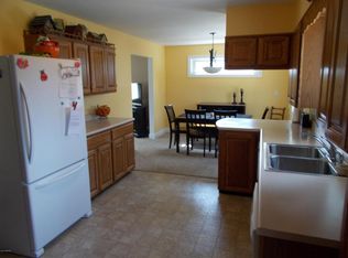 1183 N Ellis St, Ludington, MI 49431