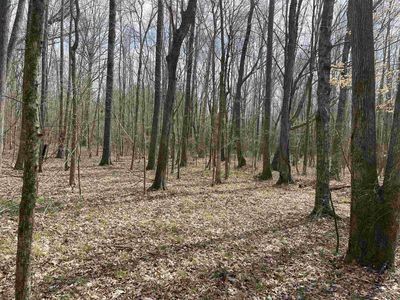 42 Highway 142, Shiloh, TN, 38376