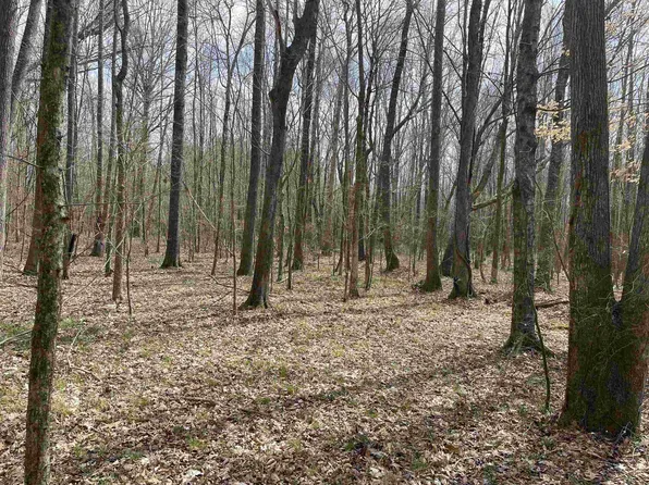 42 Highway 142, Shiloh, TN 38376