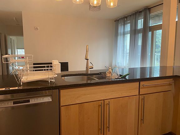 Other side of Kitchen with sink, dishwasher. Overlooks Living area and hallway
