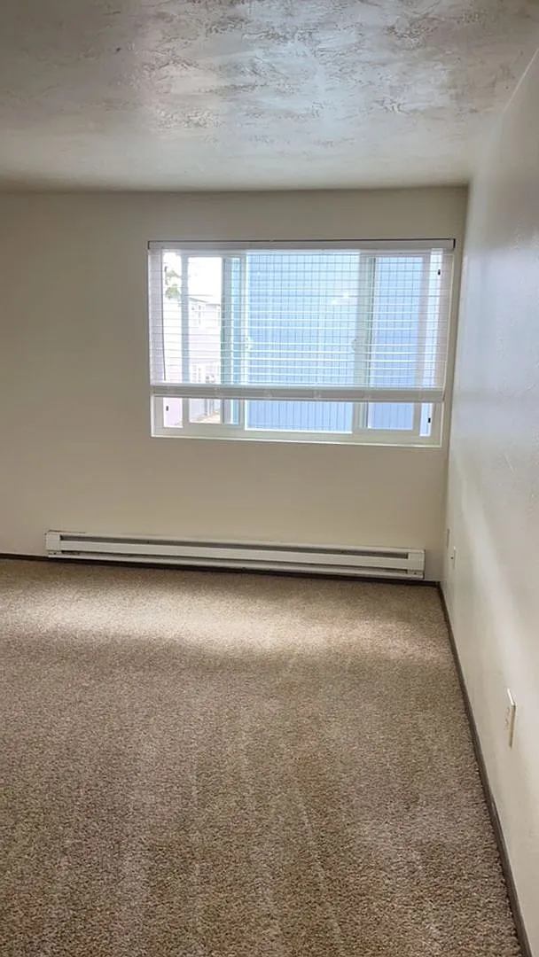 (907) Bluewood Apartments - 1 Bedroom / 1 Bath — Photo 4