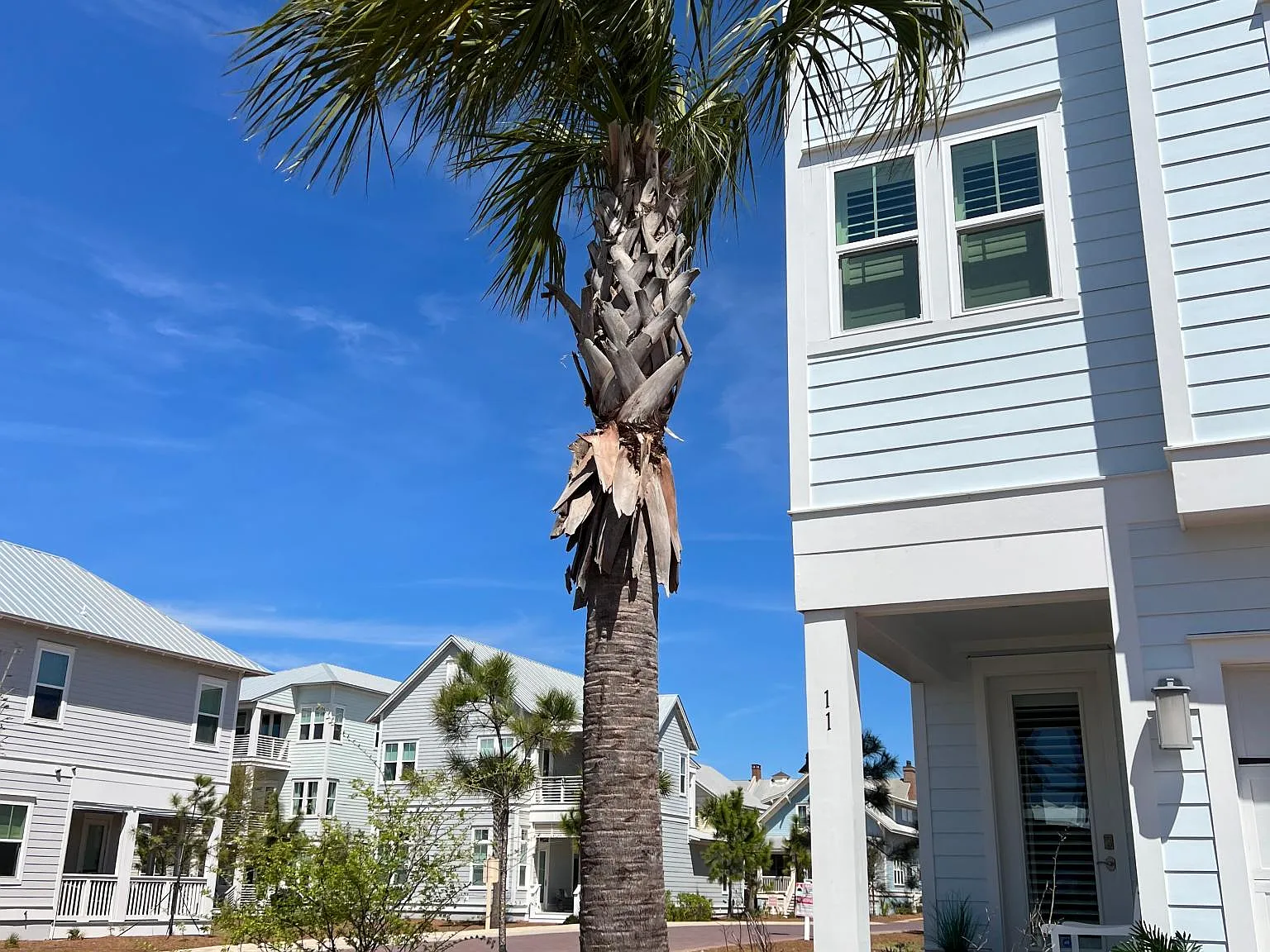 4 bed, 3.5 bath, 3461 sqft, $7,995 — Photo 2