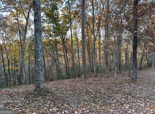 966 Raccoon Rdg NE, Ranger, GA 30734