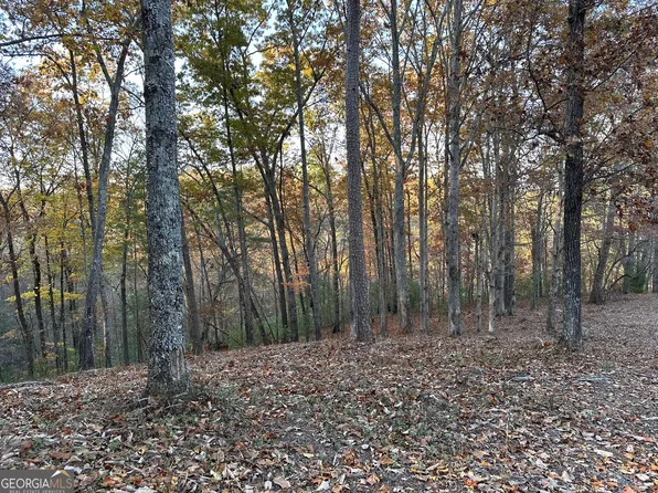 966 Raccoon Rdg NE, Ranger, GA 30734