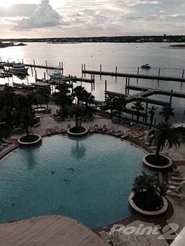 Pool & Marina