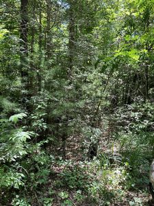 0 Pleasant Grove Church Rd, Hendersonville, NC, 28792