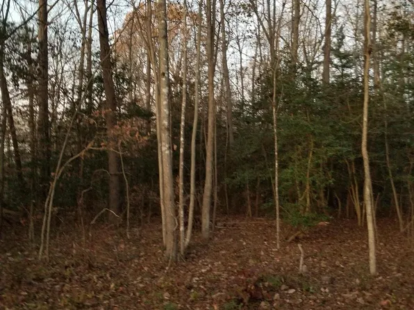 Courtney Rd, Hanover, VA 23069