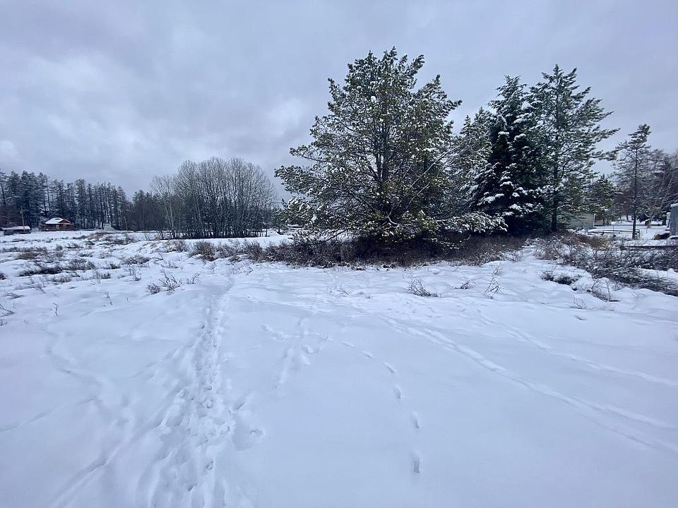 1st image of 336 Cougar Trl