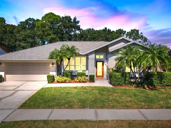 12040 Stone Crossing Cir, Tampa, FL 33635