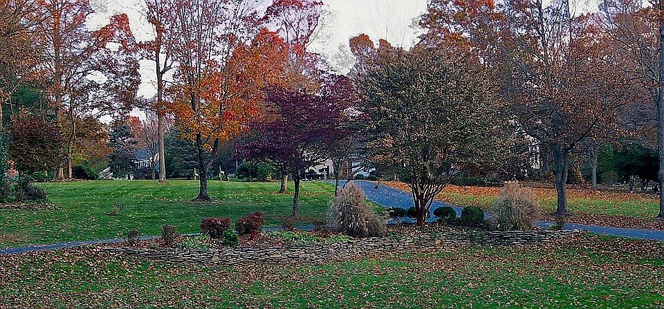 Front yard, view from house 