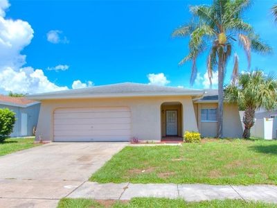 1739 E Grovehill Rd, Palm Harbor, FL, 34683