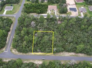 SW 33rd Avenue Rd LOT 8, Ocala, FL 34473