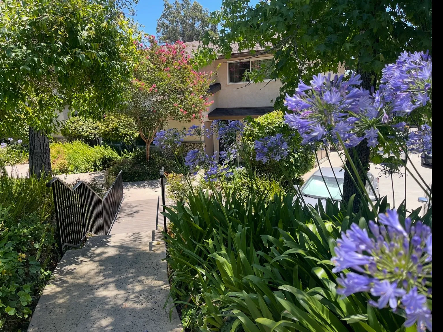 2 bed, 1.5 bath, 1100 sqft, $2,500 — Photo 2