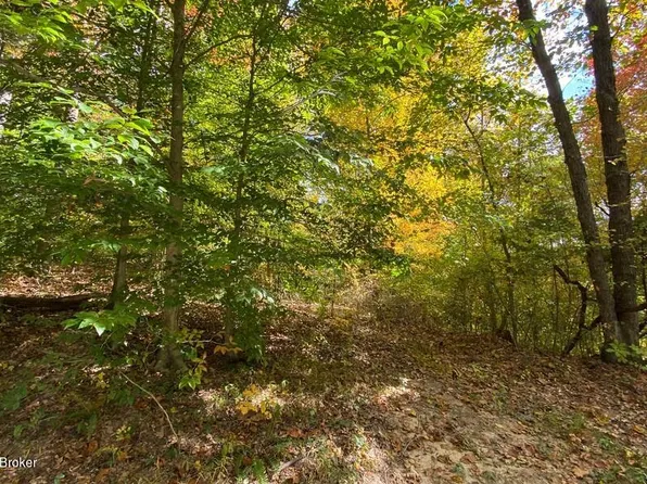 L53 Lizzie Dr, Clarkson, KY 42726