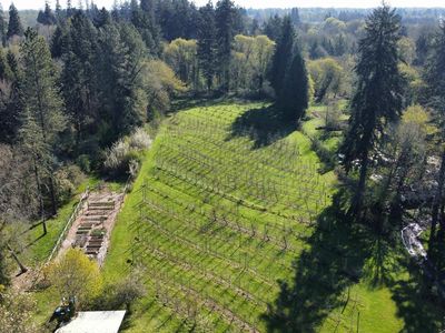 Next To 1535 Brooklane Dr, Corvallis, OR, 97333