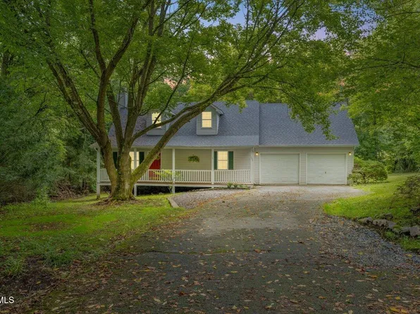 105 Beech Ln, Roan Mountain, TN 37687