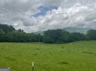 1321 Winchester Cove Rd, Hayesville, NC 28904