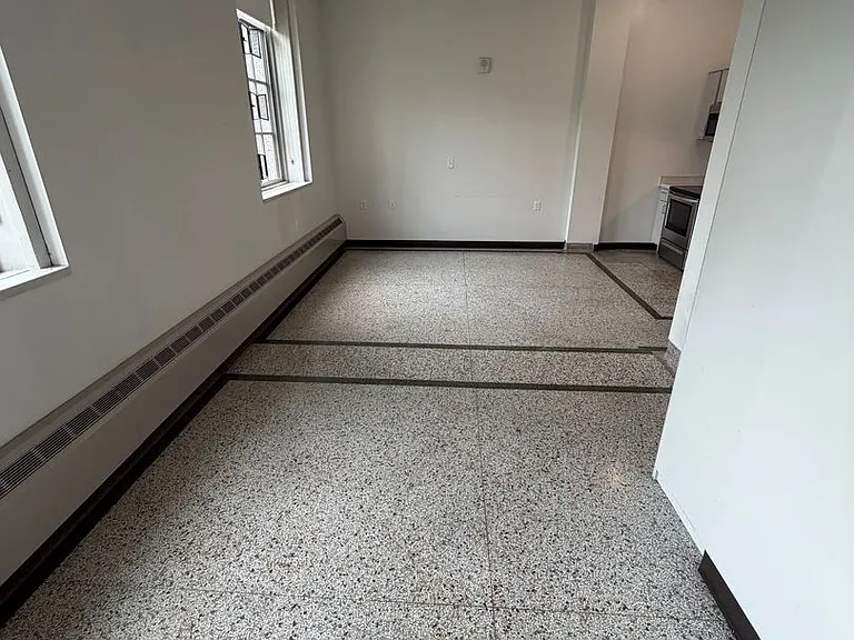 521 W 2nd Street - Leijona — Photo 68