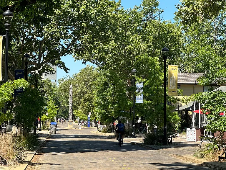 B Street Apartments — Photo 16