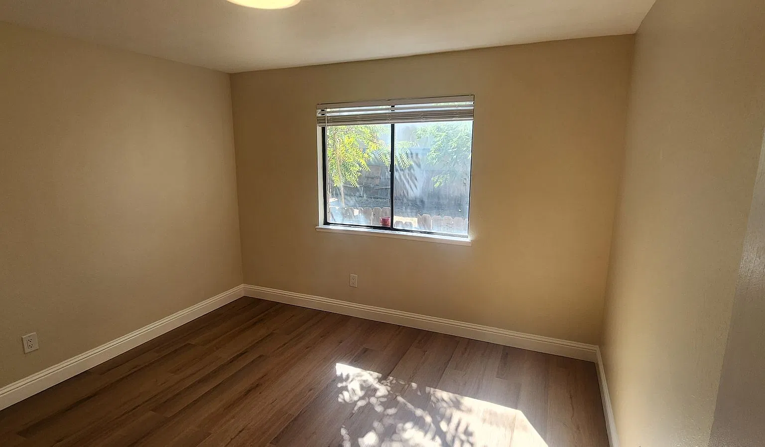 Wheeler 342 — Photo 4