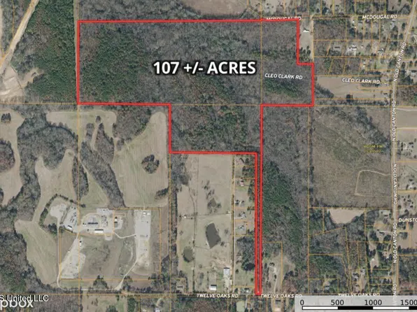 Cleo Clark Rd, Canton, MS 39046