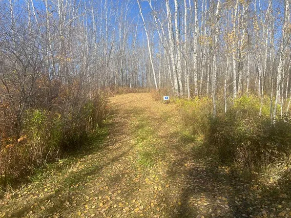 50408 Range Road 203 #36, Beaver County, AB T0B 4J2