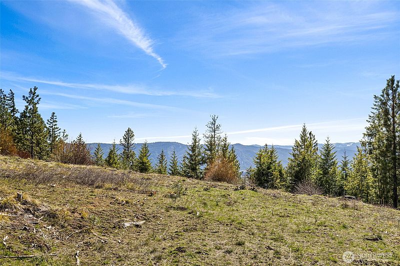 3rd image of 81 Forest Ridge (Lot 81) Drive