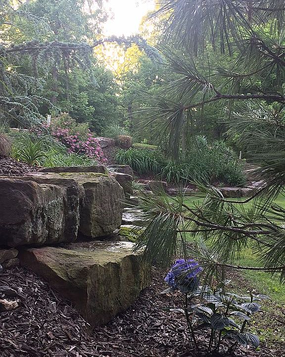 Side yard in the Spring.