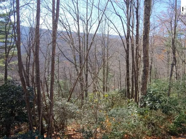 151 Rhododendron Drive, Beech Mountain, NC 28604
